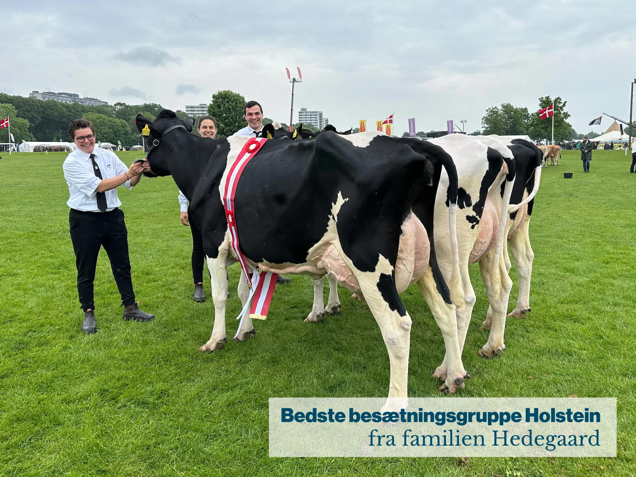 Bedste Besætningsgruppe Holstein