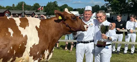 Det Fynske Dyrskues Superko Holstein