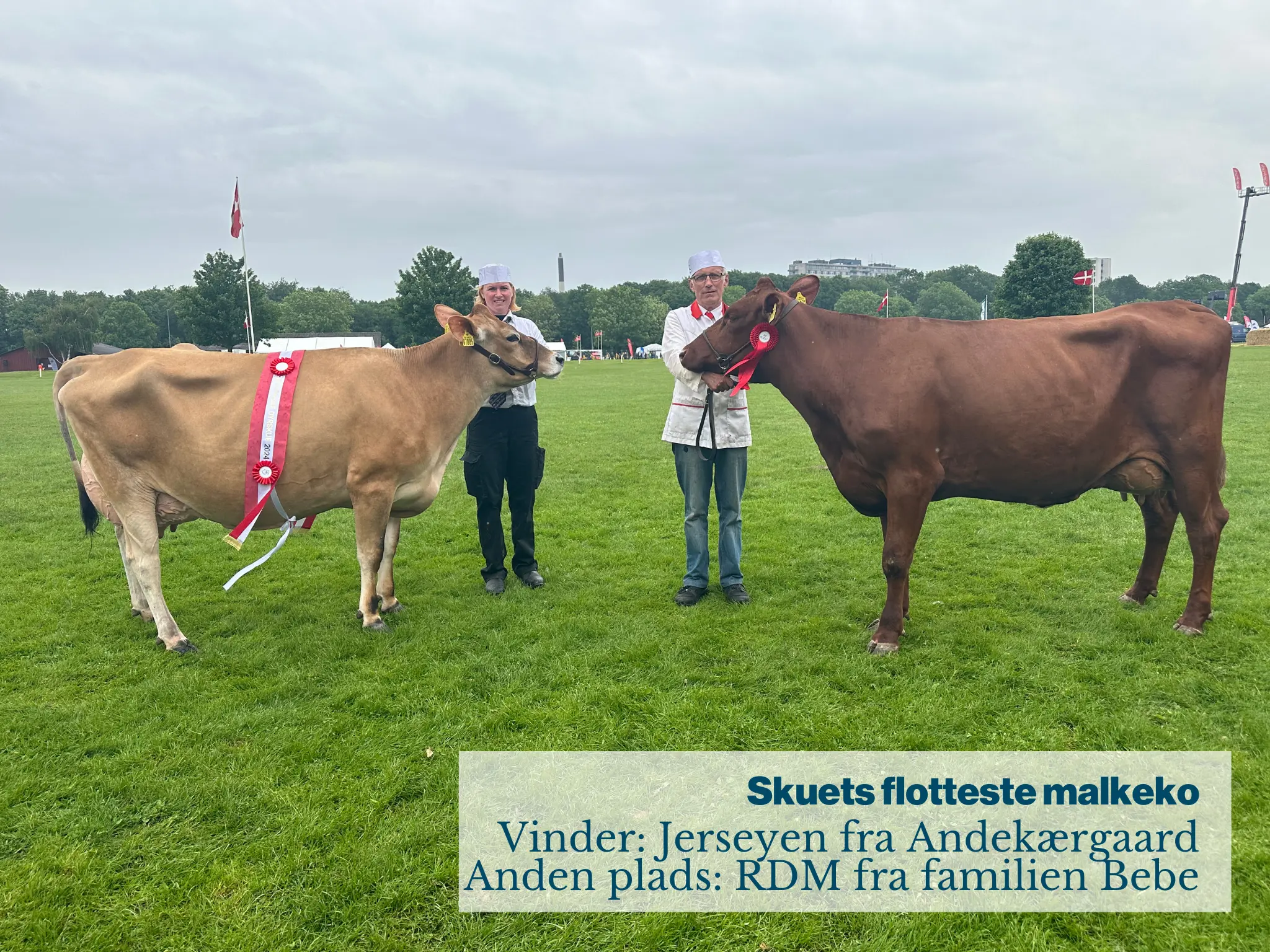 Skuets Flotteste Makleko