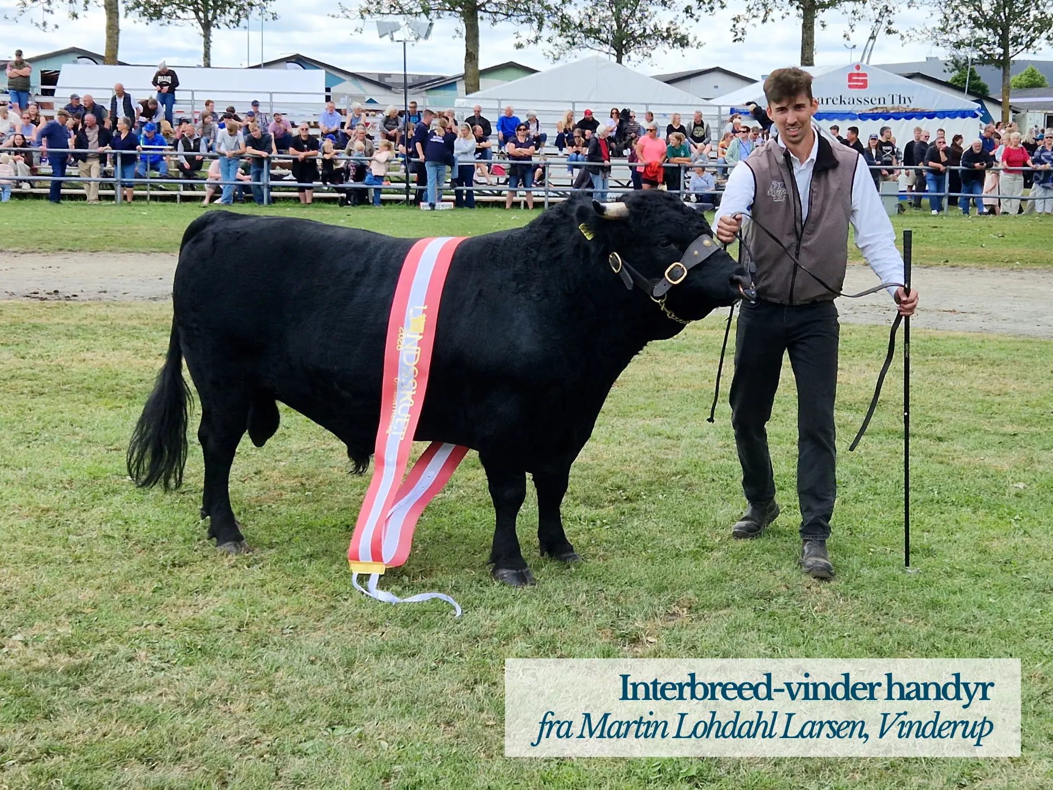 Interbreed Vinder Handyr På Landskuet 2026