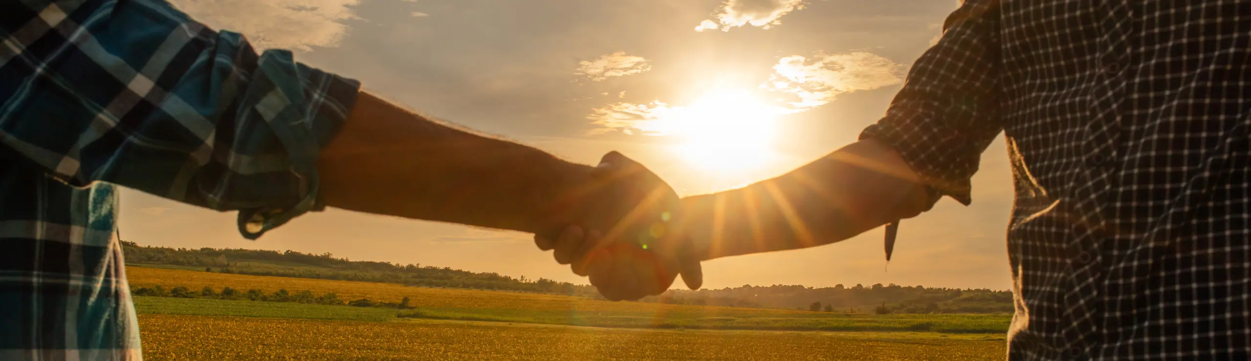 Samarbejde Med Stgenetics