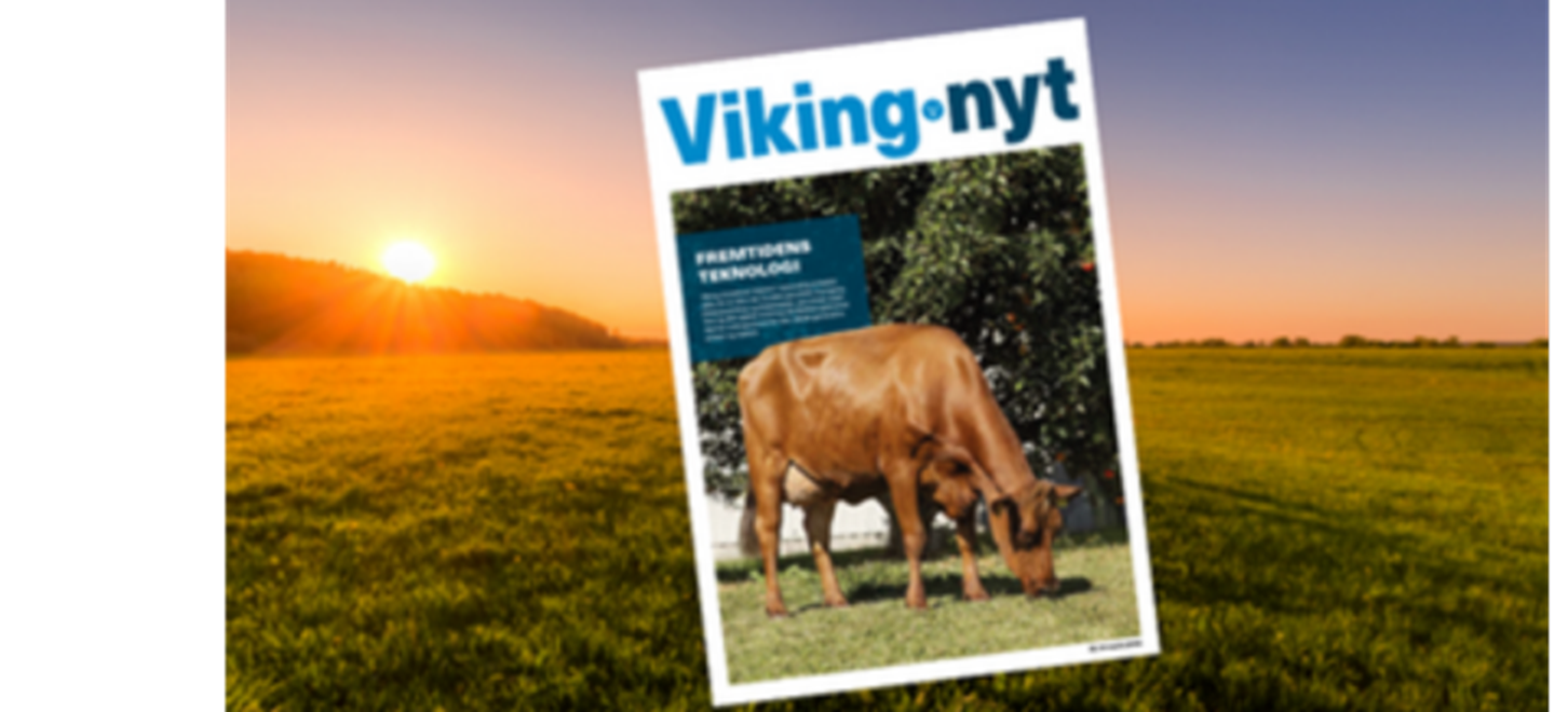Vikingnyt Marts 2023