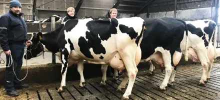 Lene Og Bjarne Graversen Red