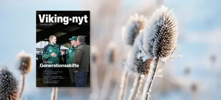 Vikingnyt Nov. 2023