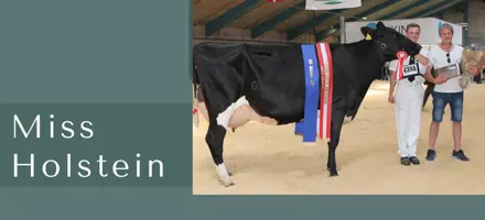 ARTICLE ENTRY TYR (7)