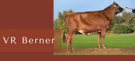 ARTICLE ENTRY TYR (25)