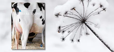 Årsberetningen I Naturlige Omgivelser