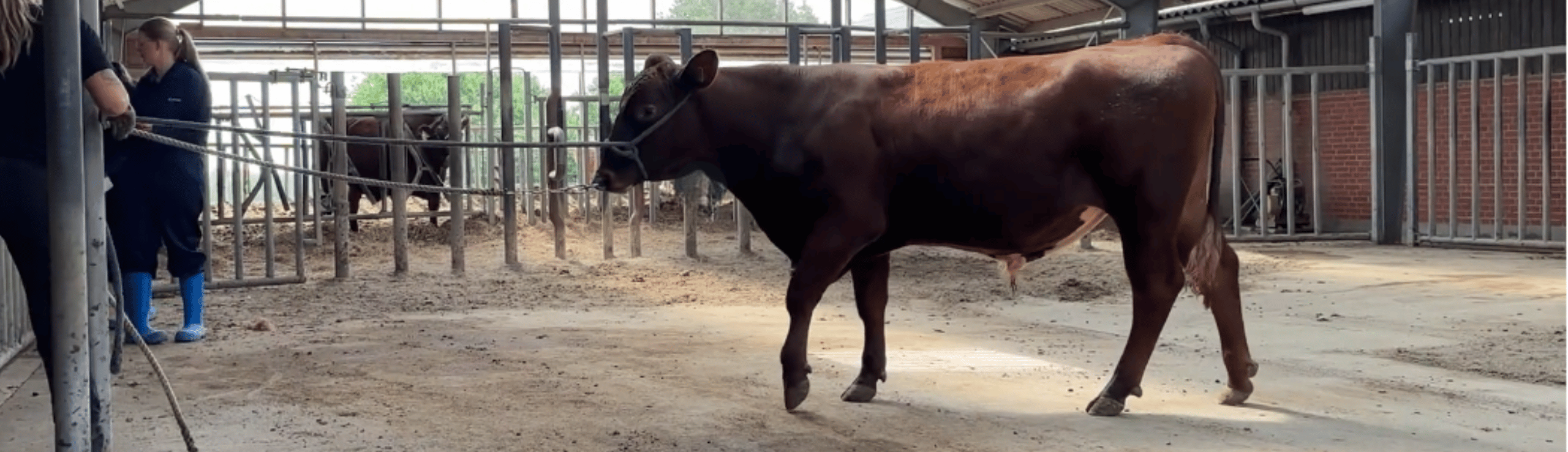 VR Hetz P På Tyrestationen I Assentoft