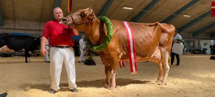 Untitled Design (43)