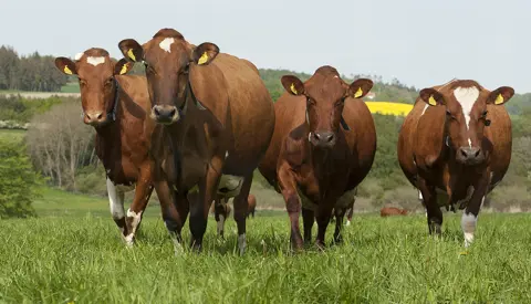 Lene Og Lars Jørgensen May2023 Ellygeverink (5)