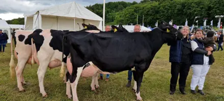 Vinder Af GL Estrup Prisen Og Bedste Holstein Besætningsgruppe, Fra Frøholm, Ørsted