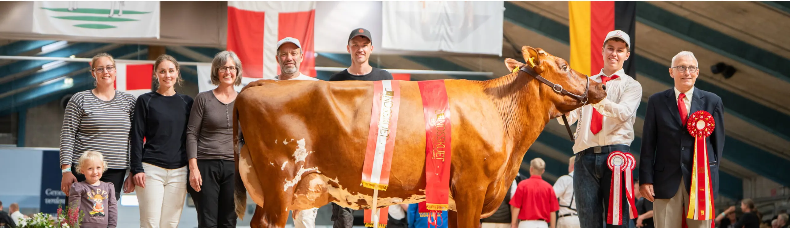 RDM Champion På Landsskuet 2026 Efter VR Vimo X VR Hattric, Fra Hanne Brems, Faaborg