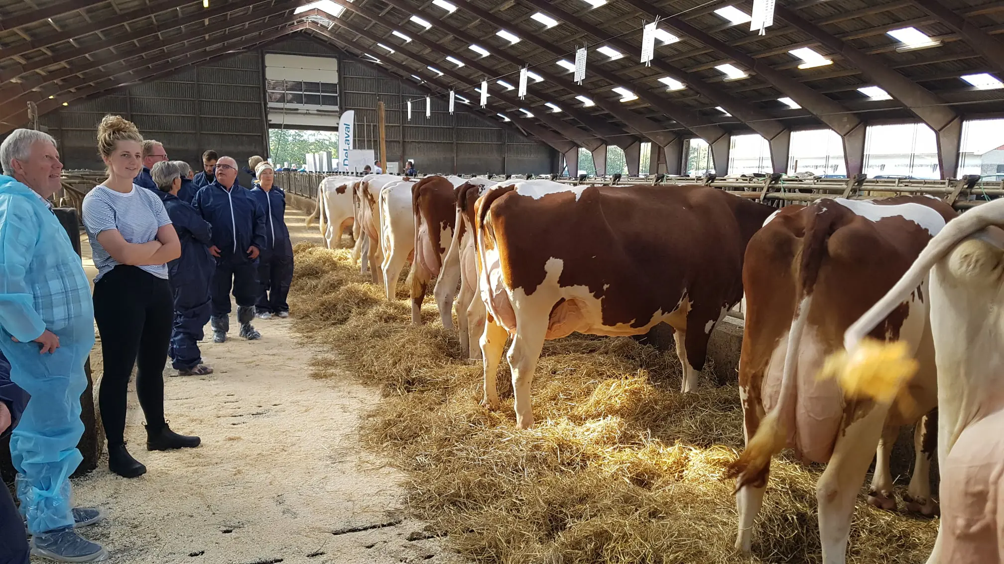 240899740 3034255560191257 554