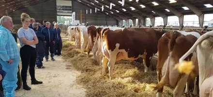 240899740 3034255560191257 554