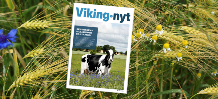 Untitled (419 × 284Px) (3) (1)