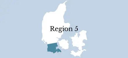 Region 5 (1)