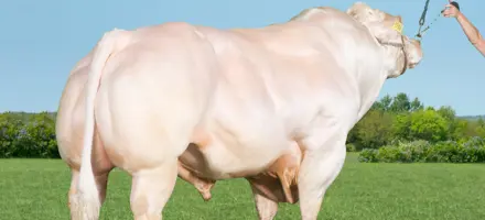 Ludvig Uden Alex Forside