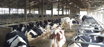 Ventilation I Stalden