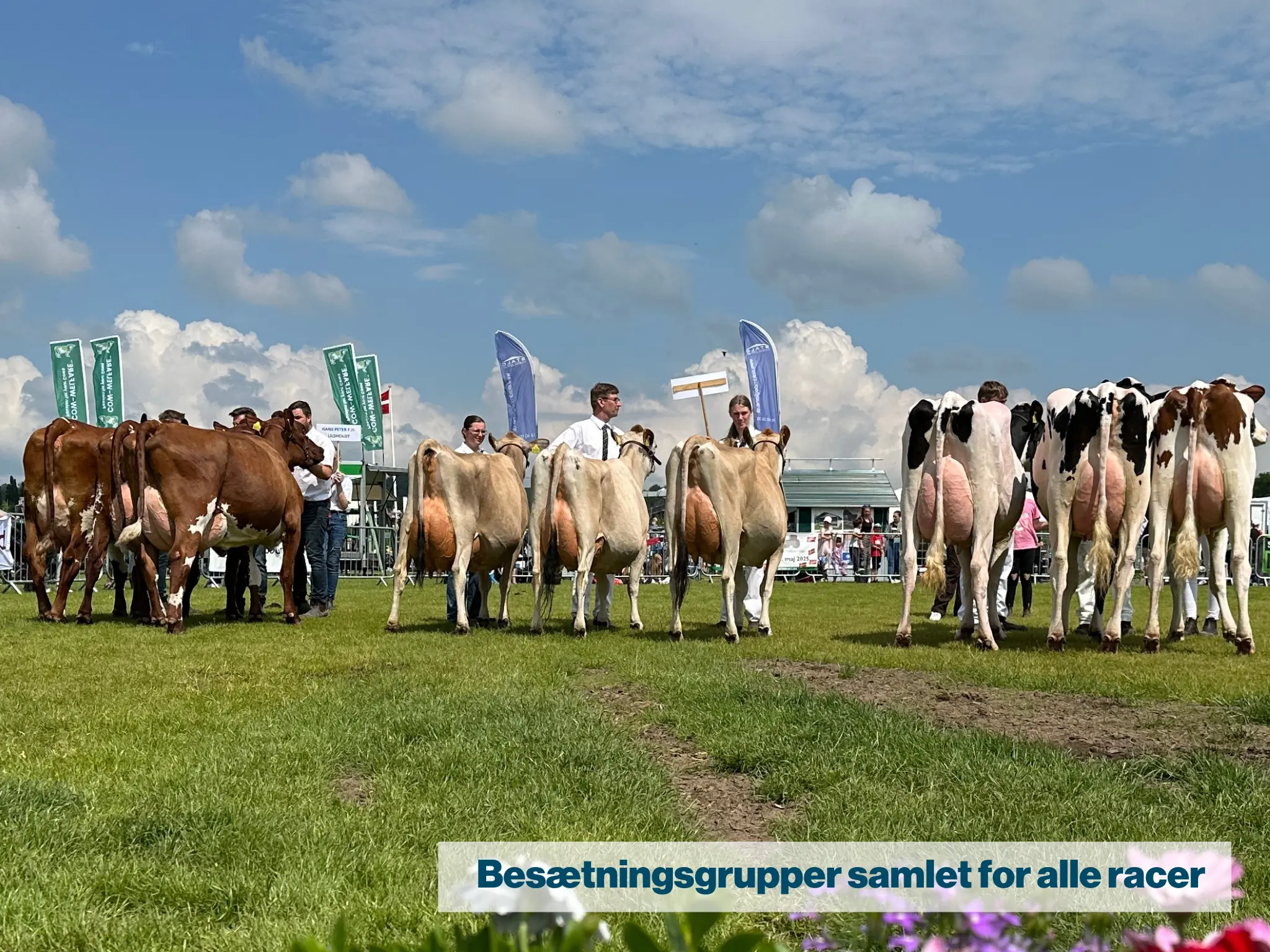 Besætningsgrupper samlet for alle racer