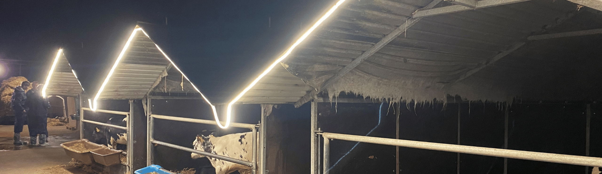 Du Kan Nemt Teste Lysintensiteten I Din Stald Ved Brug Af En Lux Måler App