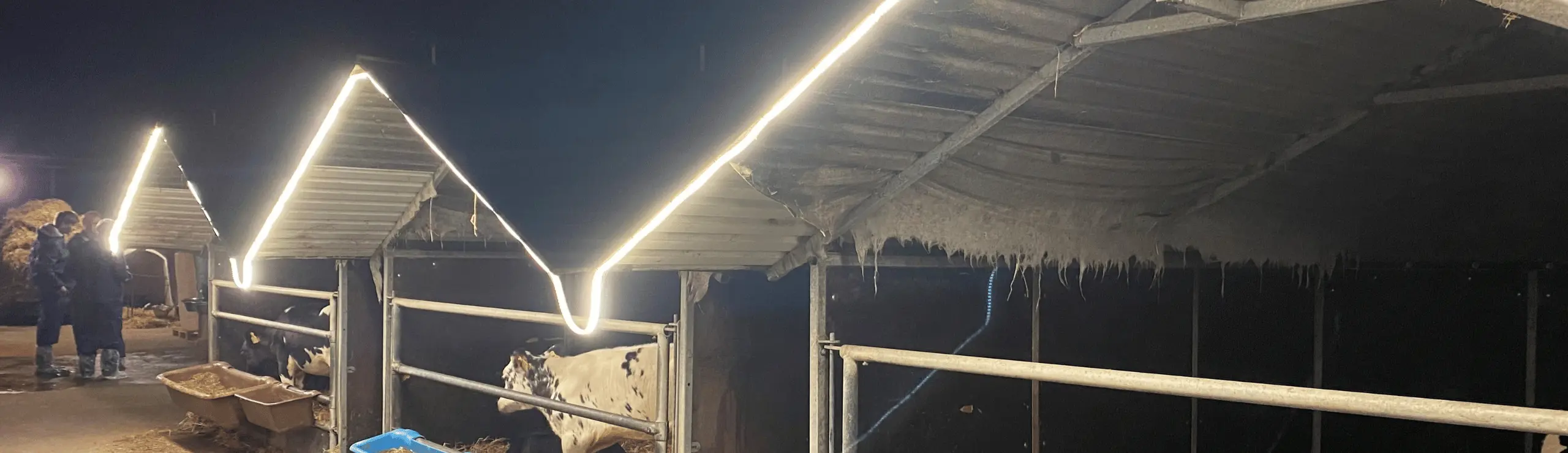 Du Kan Nemt Teste Lysintensiteten I Din Stald Ved Brug Af En Lux Måler App