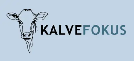 Kalvefokus Er Viden Der Værdi, Når Den Bliver Omsat Til Handling I Stalden