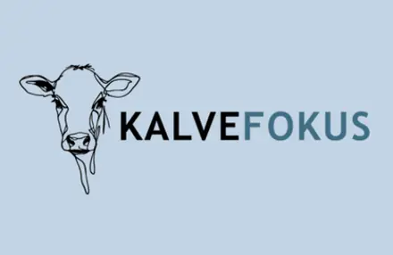 Kalvefokus Er Viden Der Værdi, Når Den Bliver Omsat Til Handling I Stalden