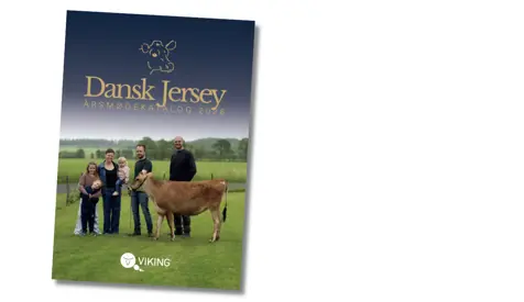 Jersey Årsmøde Med Besætningsbesøg Hos Slagro