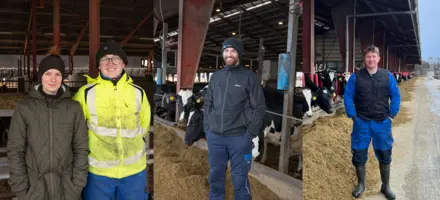 Medarbejdere På Bakkegården