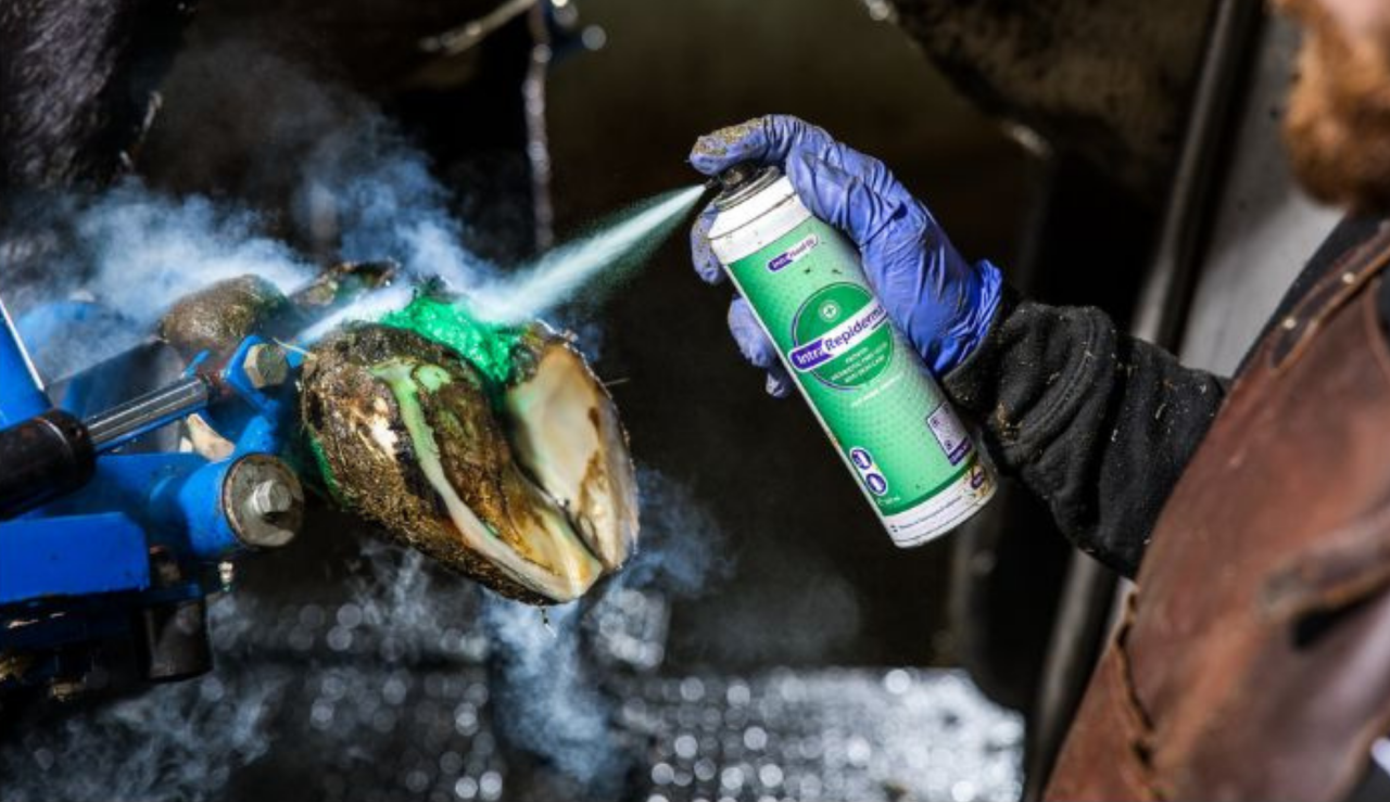 Half Hero Spot Klovpleje