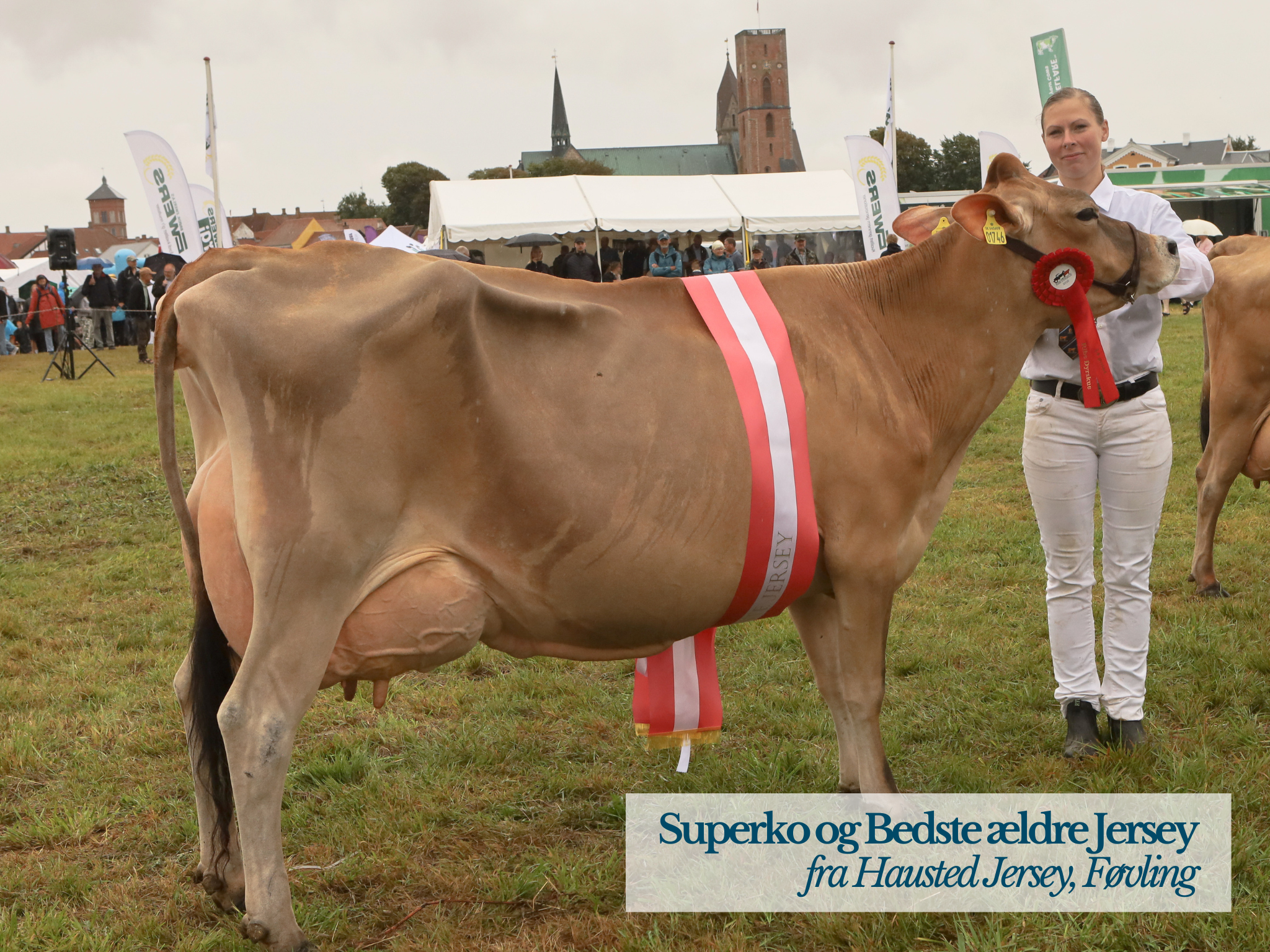 Superko Og Bedste Ældre Jersey Fra Hausted Jersey, Føvling
