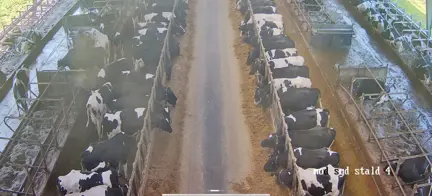Live View Fra Samrtfarming Kamera