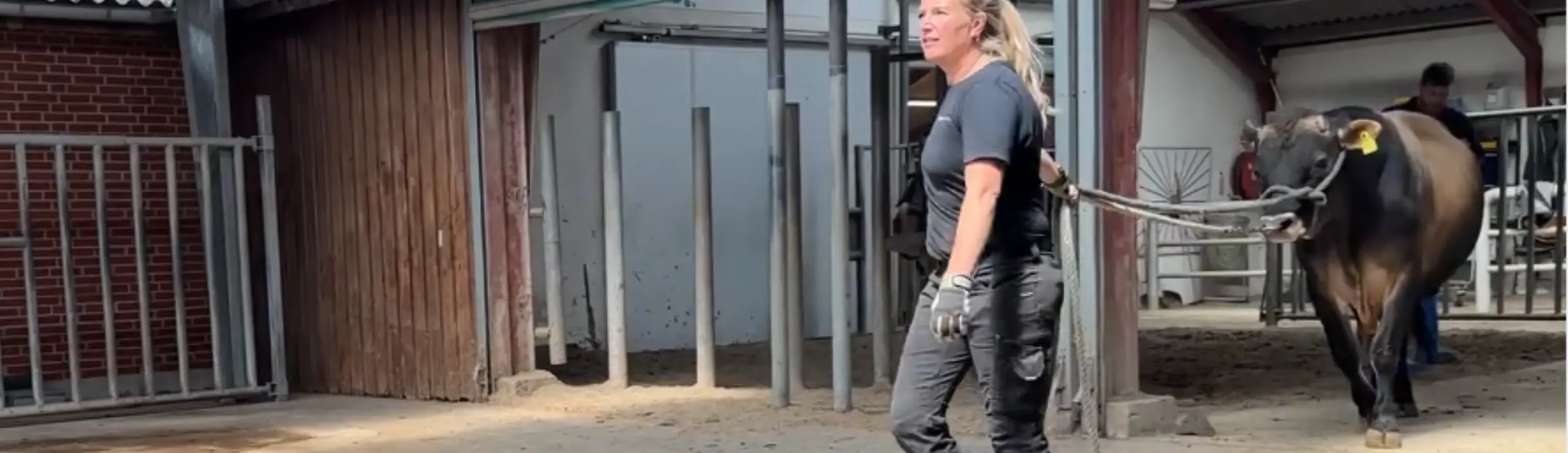 VJ Hex På Tyrestationen