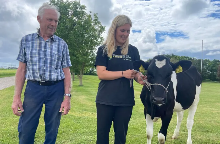 Ove, Julie og kviekalv