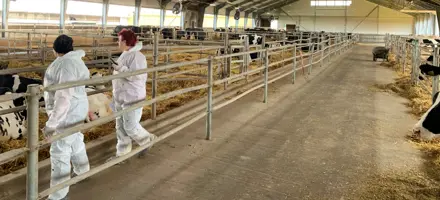 Untitled Design (35)