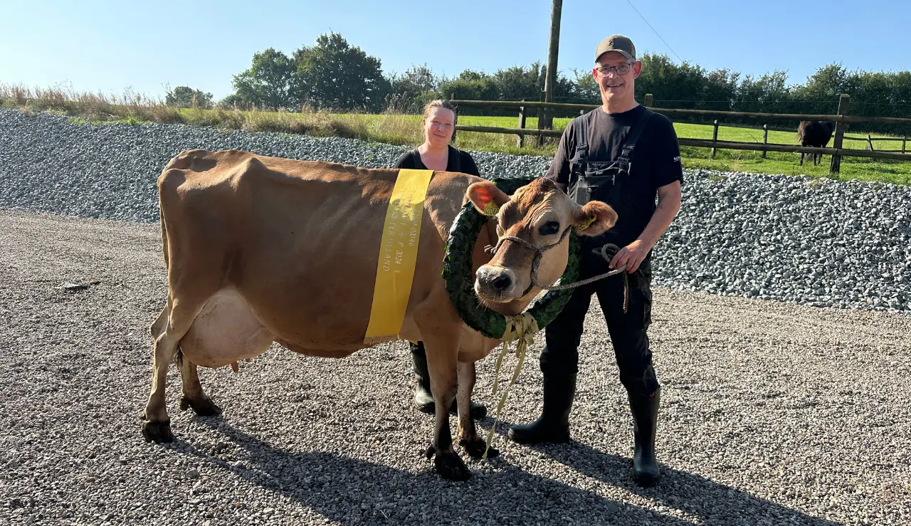 Koen 2046, Anka Og Per