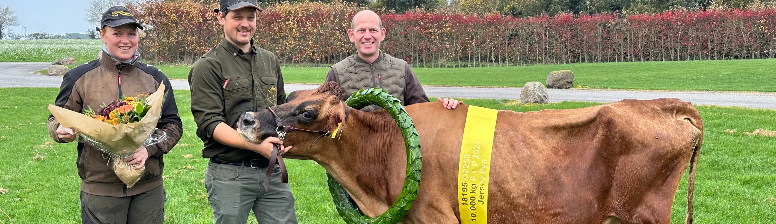 Ko 2258 Fra Fra Andekærgaard