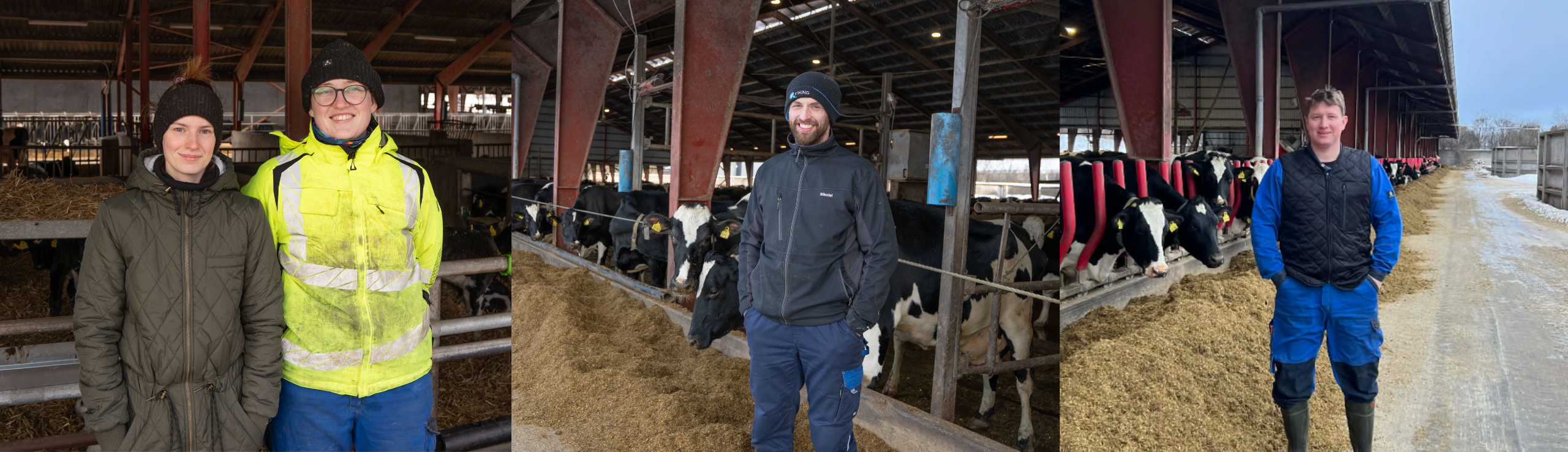 Katrine, Hanna, Nikolaj Og Rasmus Fra Bakkegården