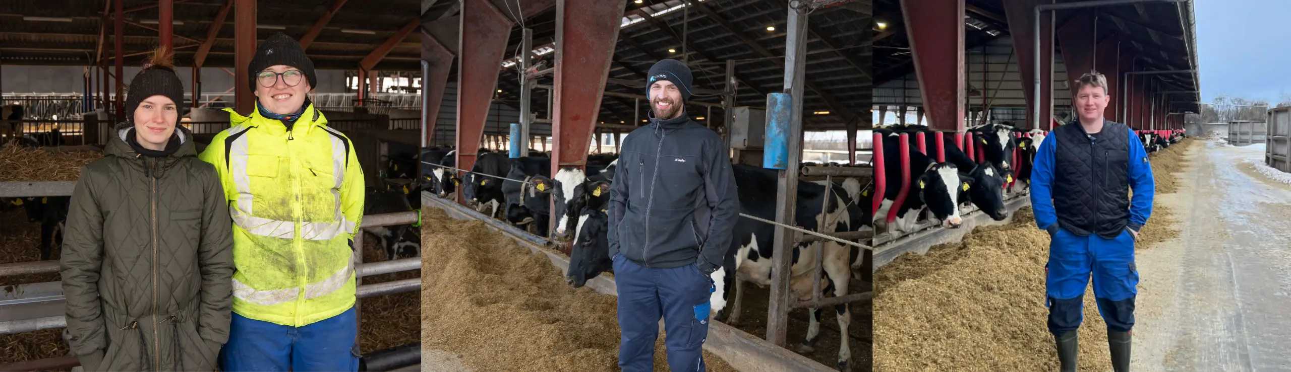 Katrine, Hanna, Nikolaj Og Rasmus Fra Bakkegården
