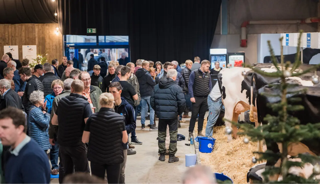 Stemning Fra Vikingdanmark Standen På Agromek Hal Q