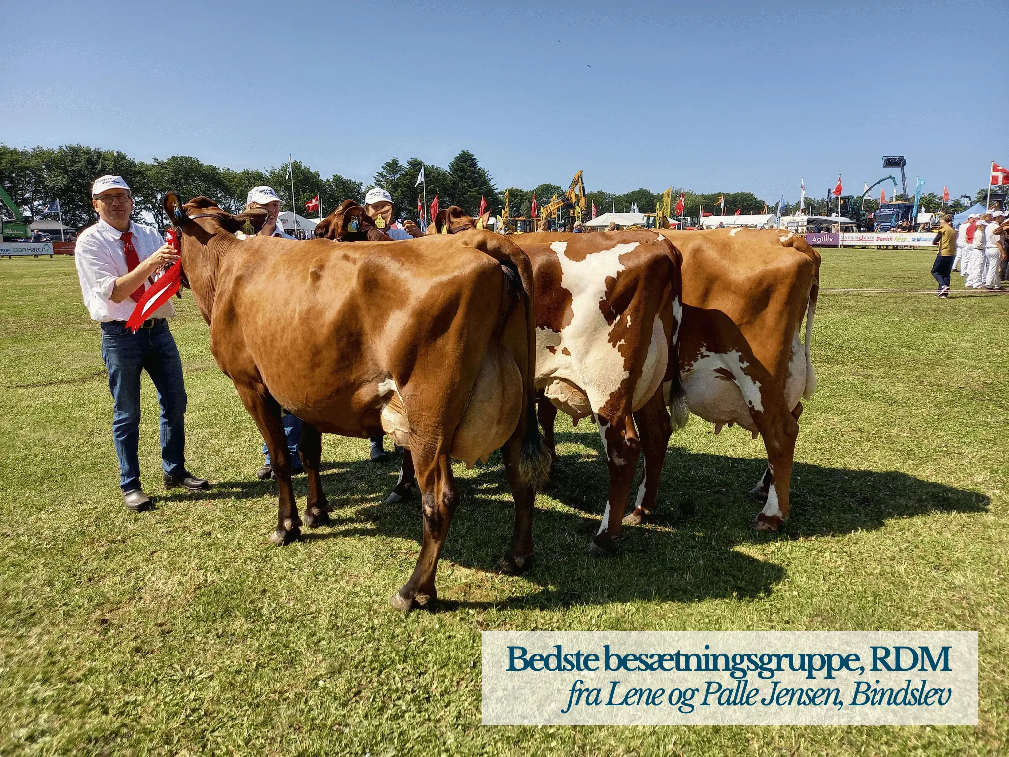 Bedste Besætningsgruppe RDM, Hjørring Dyrskue