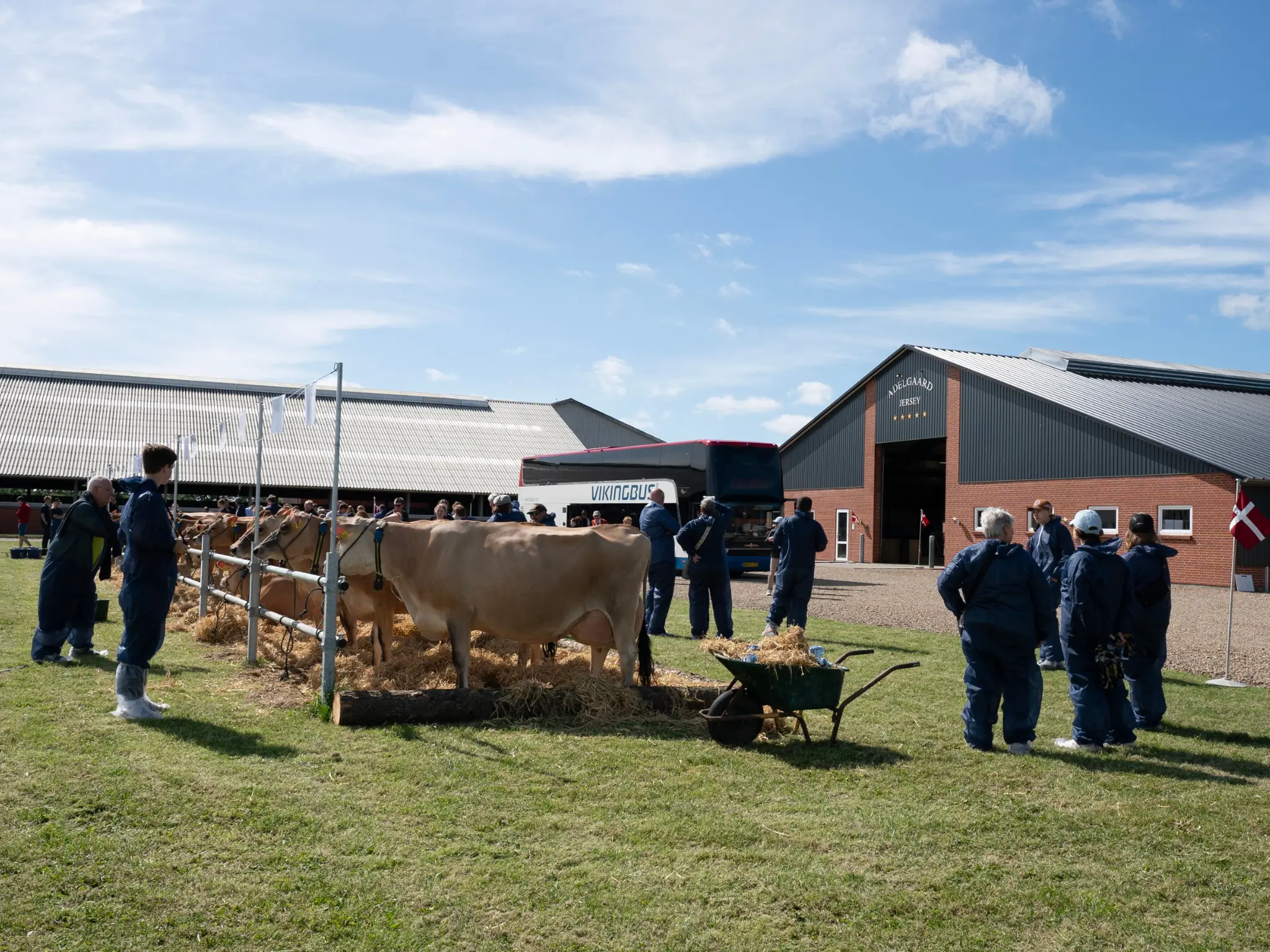 Jersey Verdenskongres 35