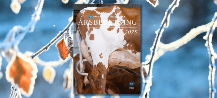 Årsberetning 2025 På Naturbaggrund (1)