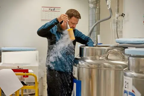 Distribution For Export 4