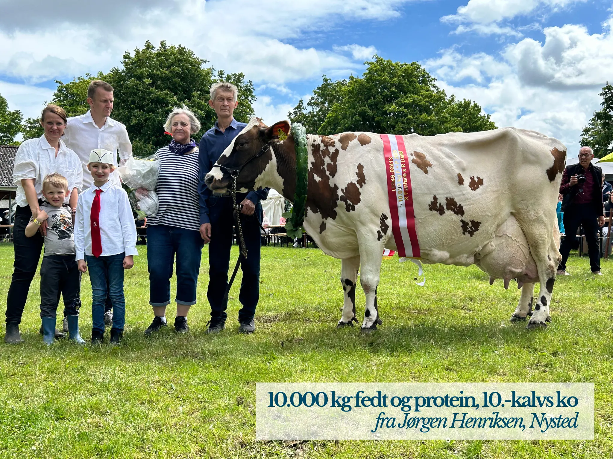 10.000 Kg Fedt Og Protein, 10. Kalvs Ko