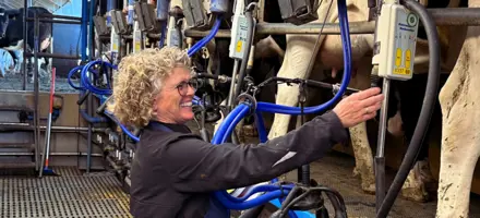 Entry Data Og Genetiske Tests