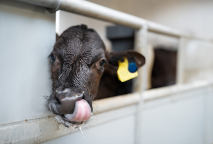 Læs mere om nyeste teknologi