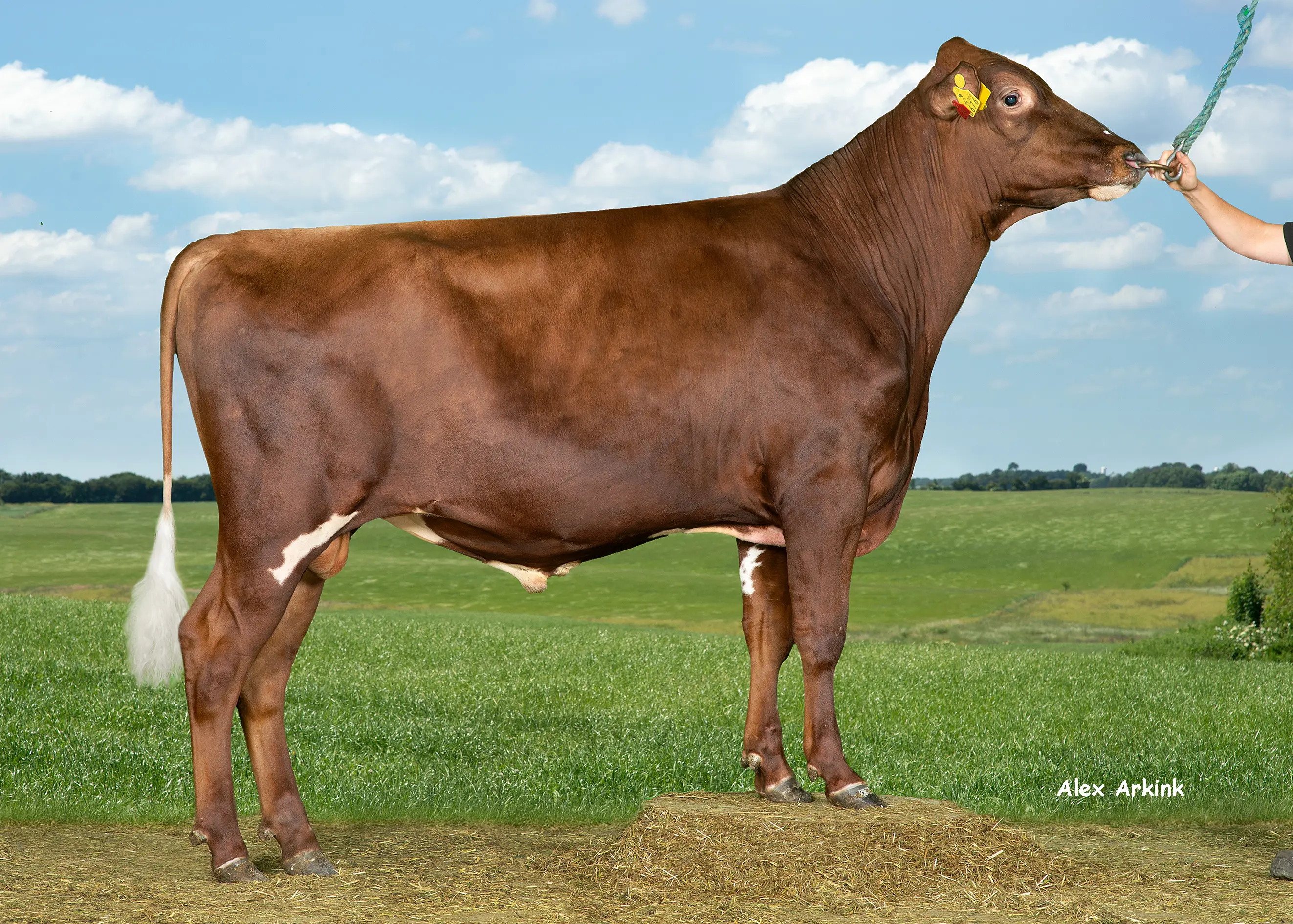 VR Hessu P (VR Hohde) 38214