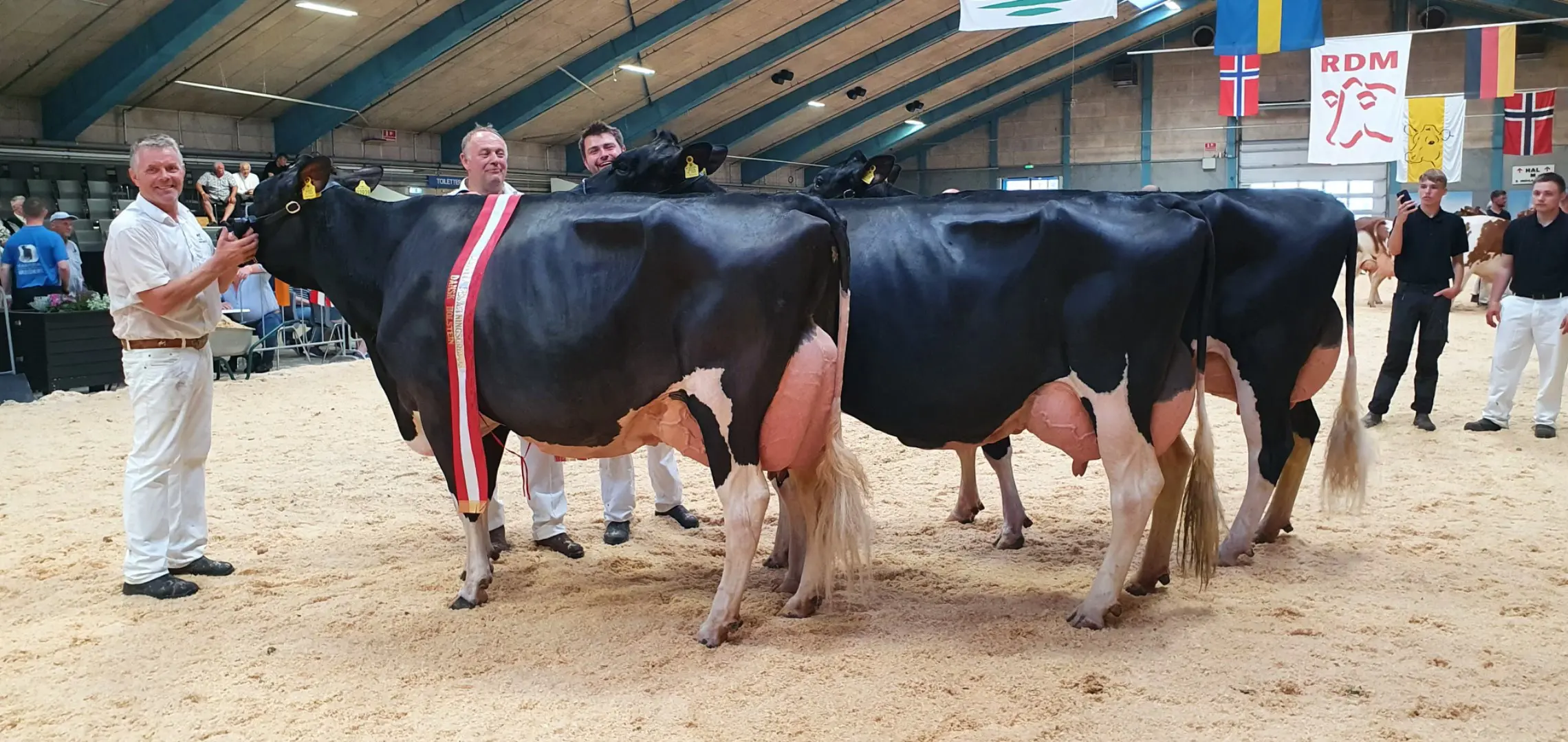 Bedste Besætningsgruppe, Skovgaard