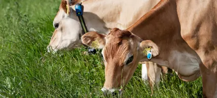 Untitled Design (37)